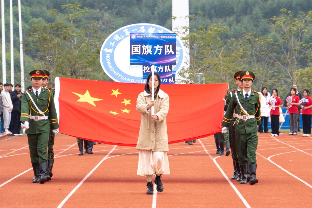 球速体育稳定线路
