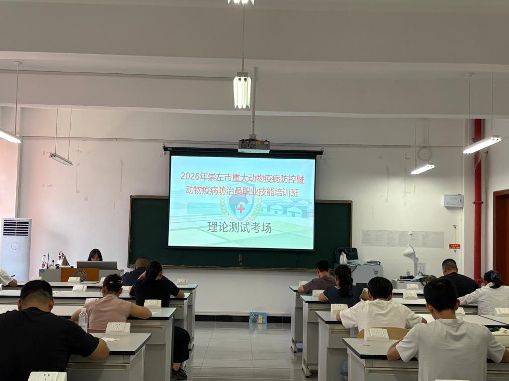 球速体育直播