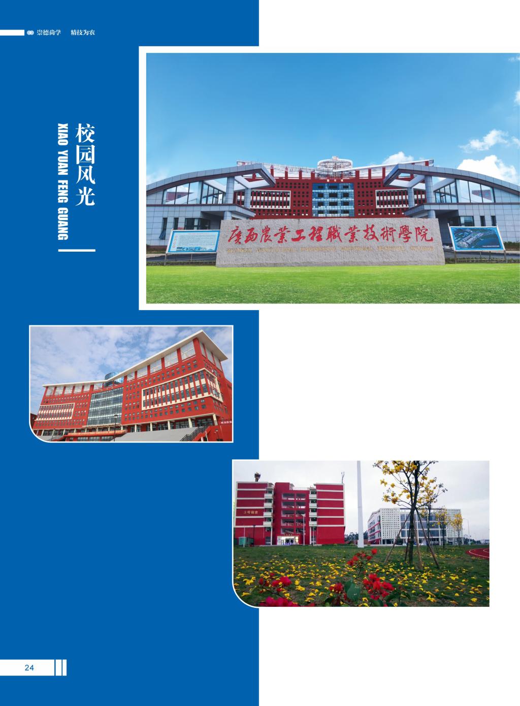 球速体育超级联赛
