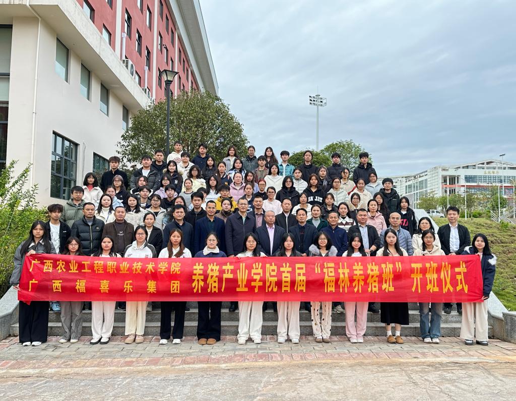 球速体育赛事资讯平台