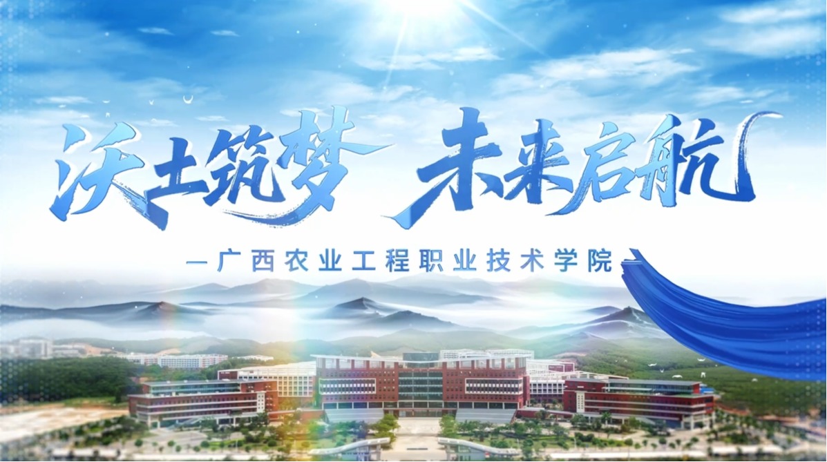 球速体育安全通道
