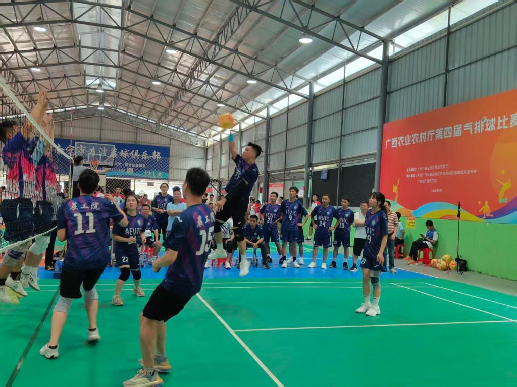 球速体育直播