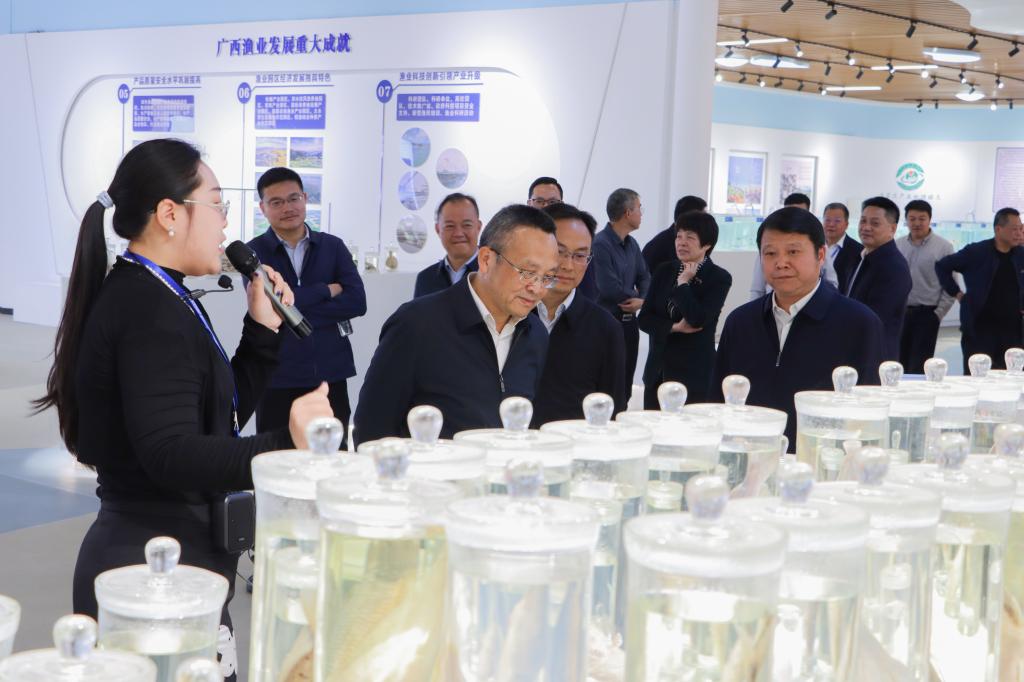 球速体育官方线路