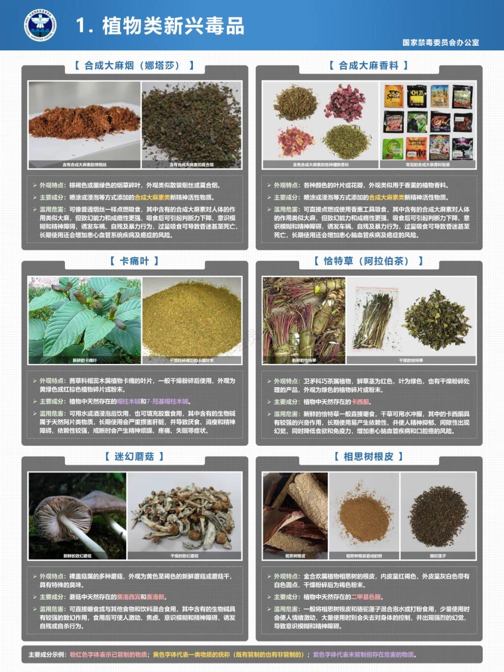球速体育赛事快讯