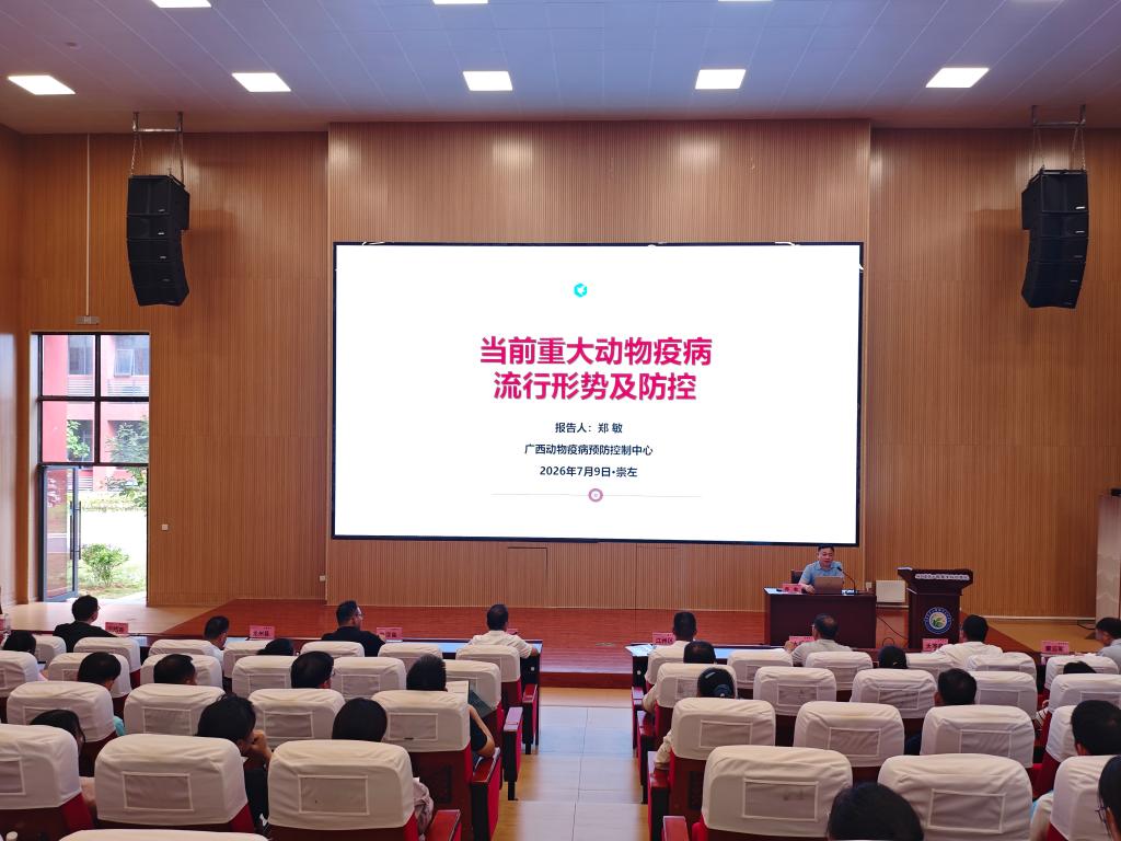 球速体育安全通道图片