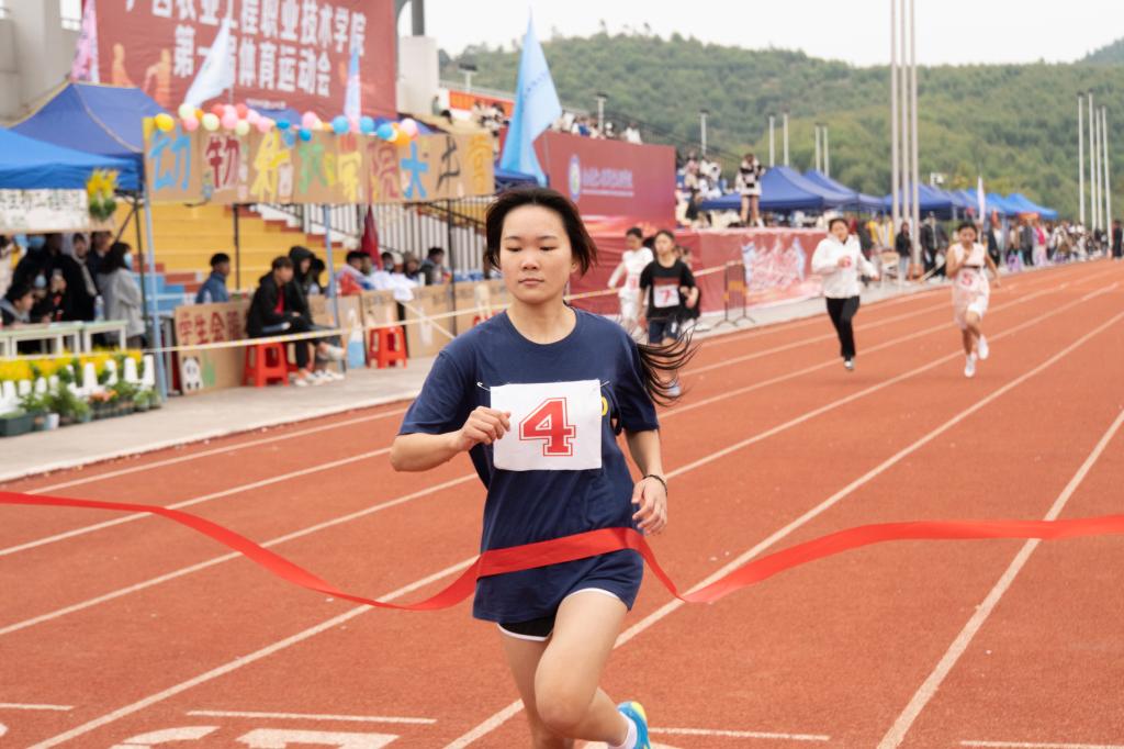 球速体育官方线路