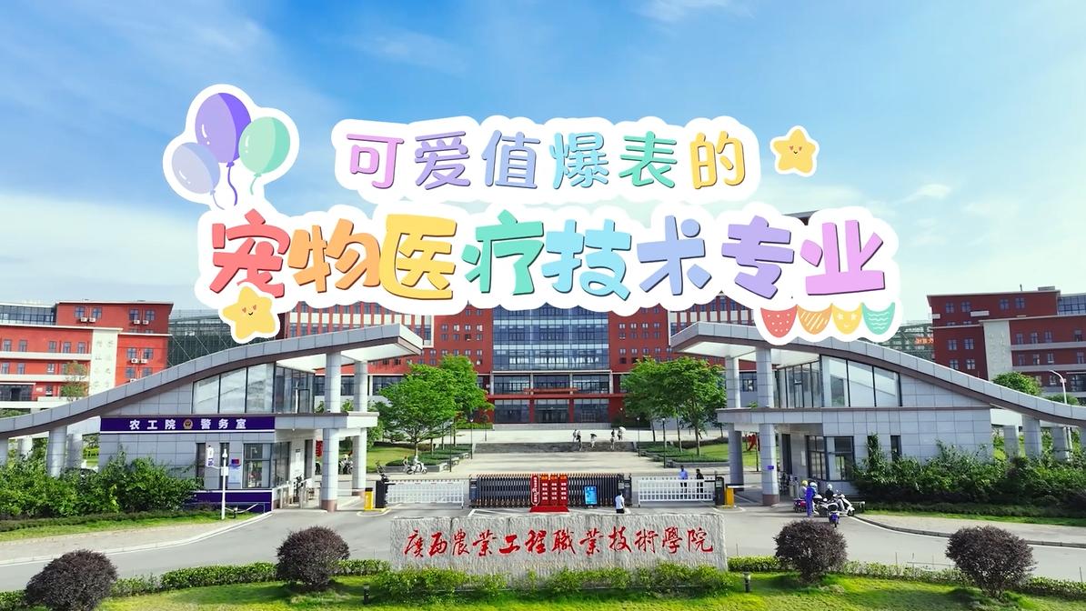 球速体育手机版