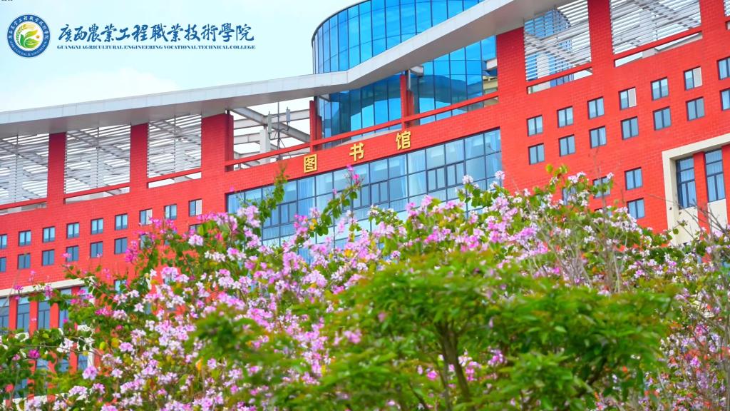 球速体育欧冠直播