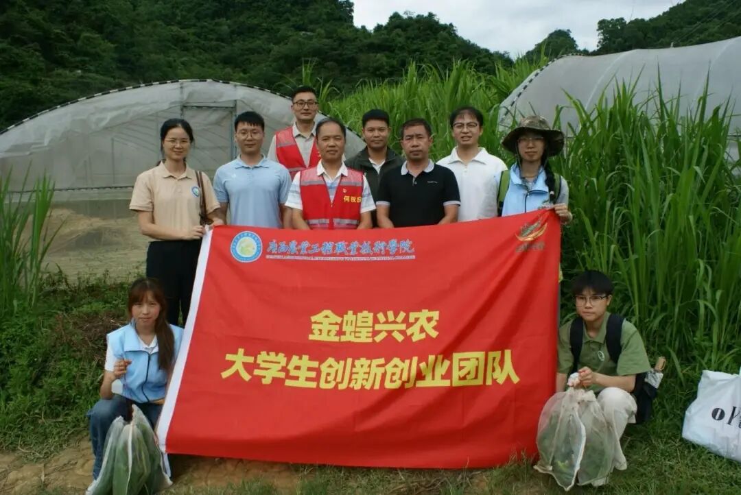 球速体育官方线路