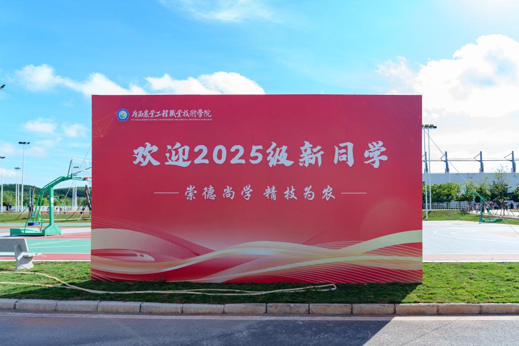 球速体育稳定线路