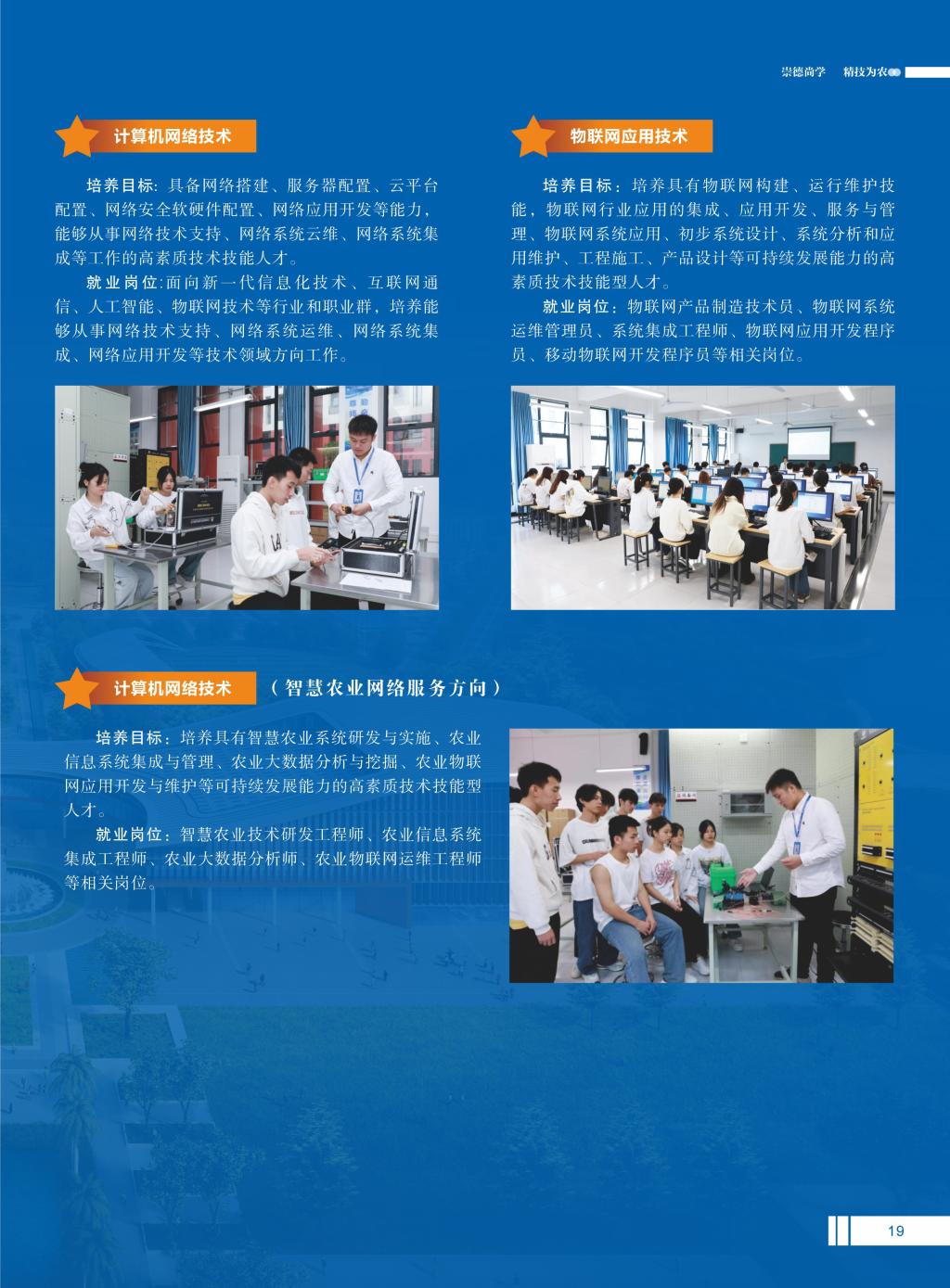 球速体育平台