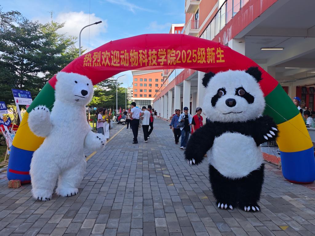 球速体育欧冠直播