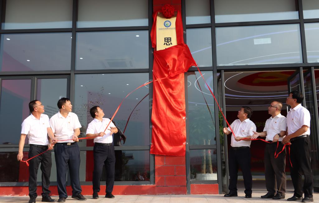 球速体育指定入口图片