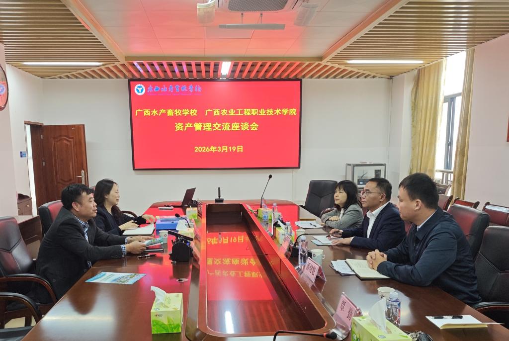 球速体育欧洲杯图片