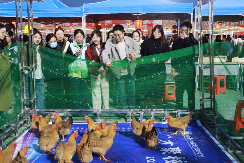 球速体育指定通道