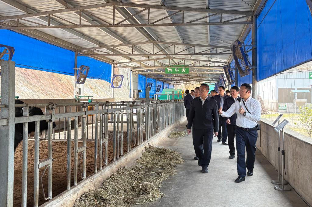 球速体育官方线路