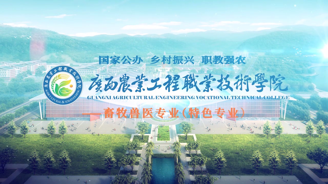 球速体育指定入口