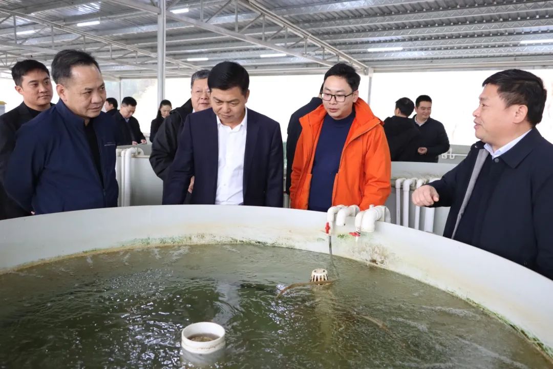 球速体育指定通道