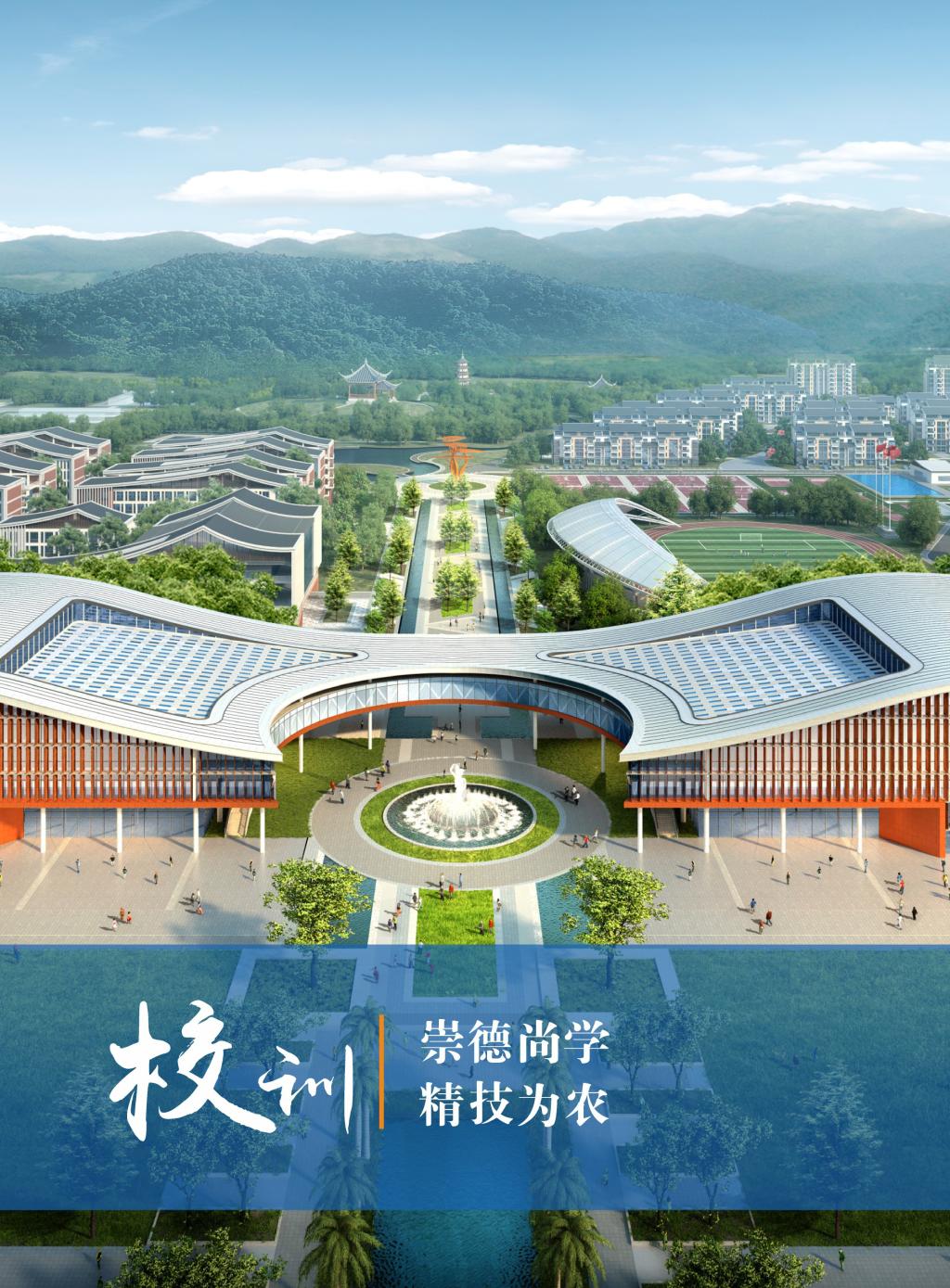 球速体育直播
