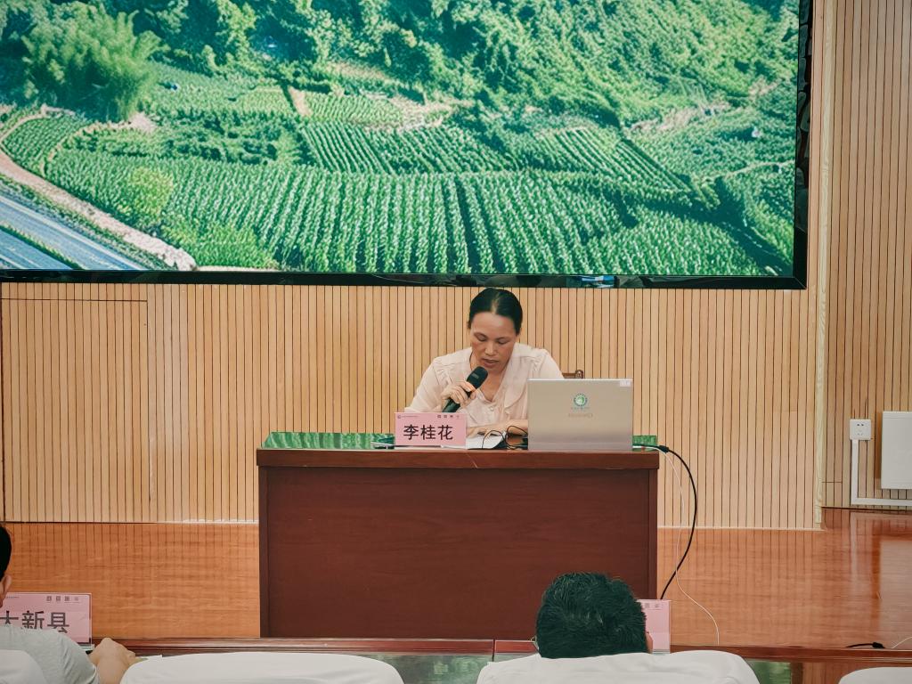 球速体育欧洲杯图片