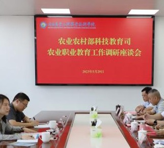 球速体育备用网址