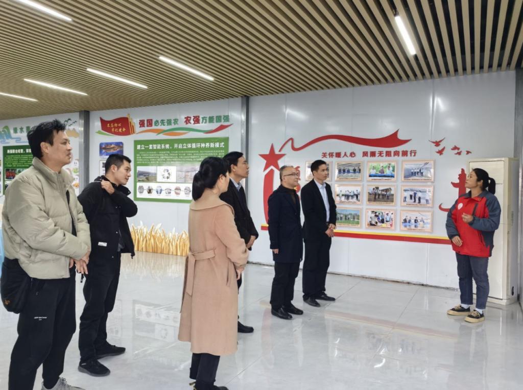 球速体育备用网址