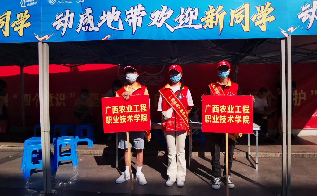 球速体育指定入口图片