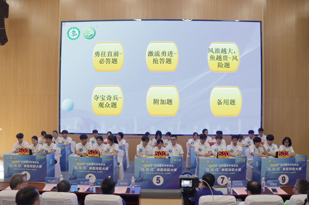 球速体育指定入口