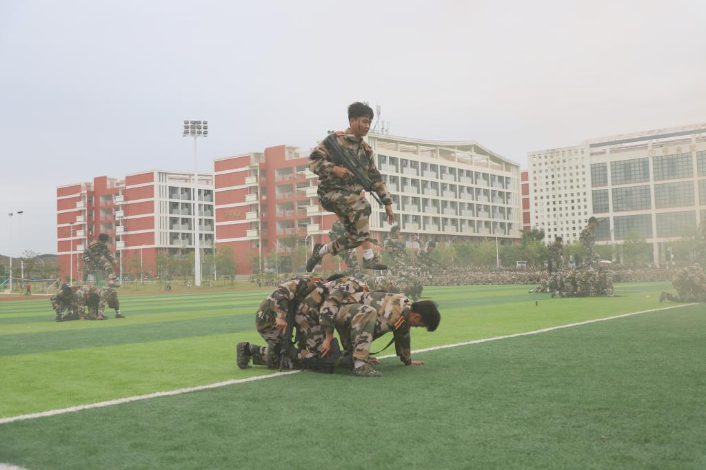 球速体育APP下载图片