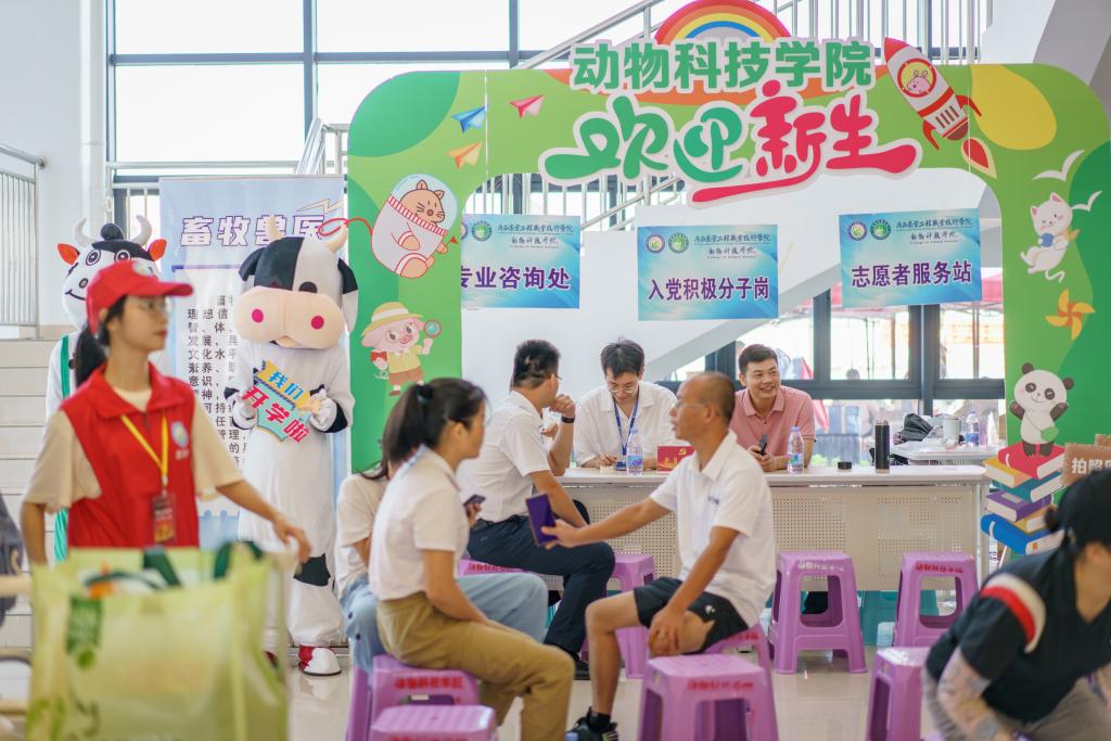 球速体育赛事资讯平台