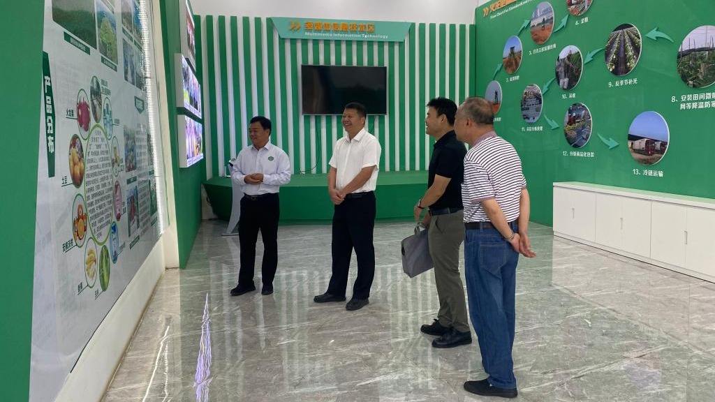 球速体育超级联赛