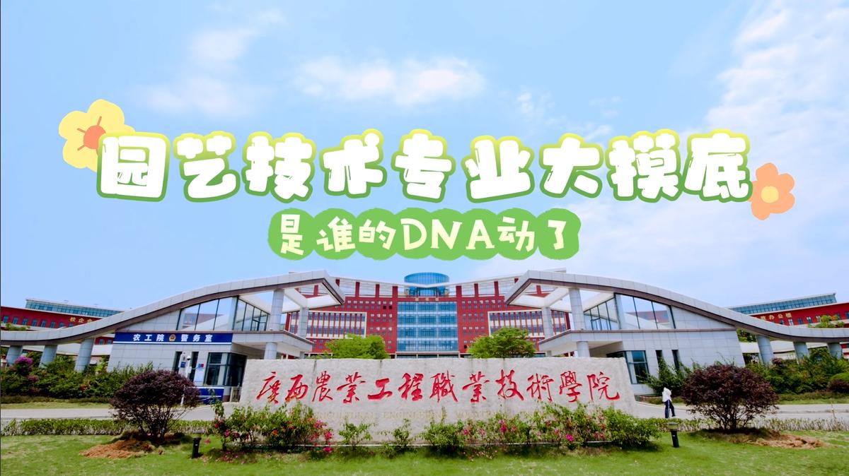 球速体育赛事快讯