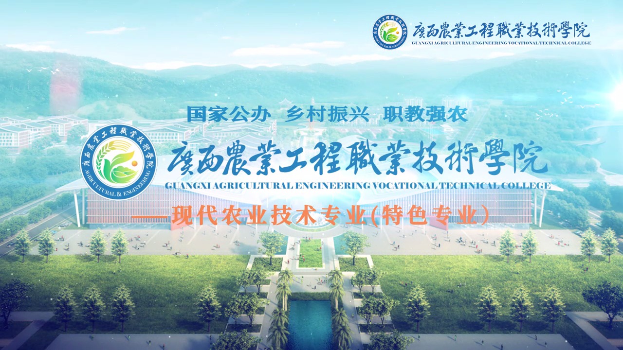 球速体育平台