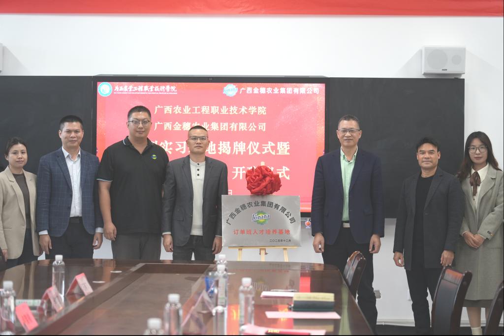 球速体育客户端图片