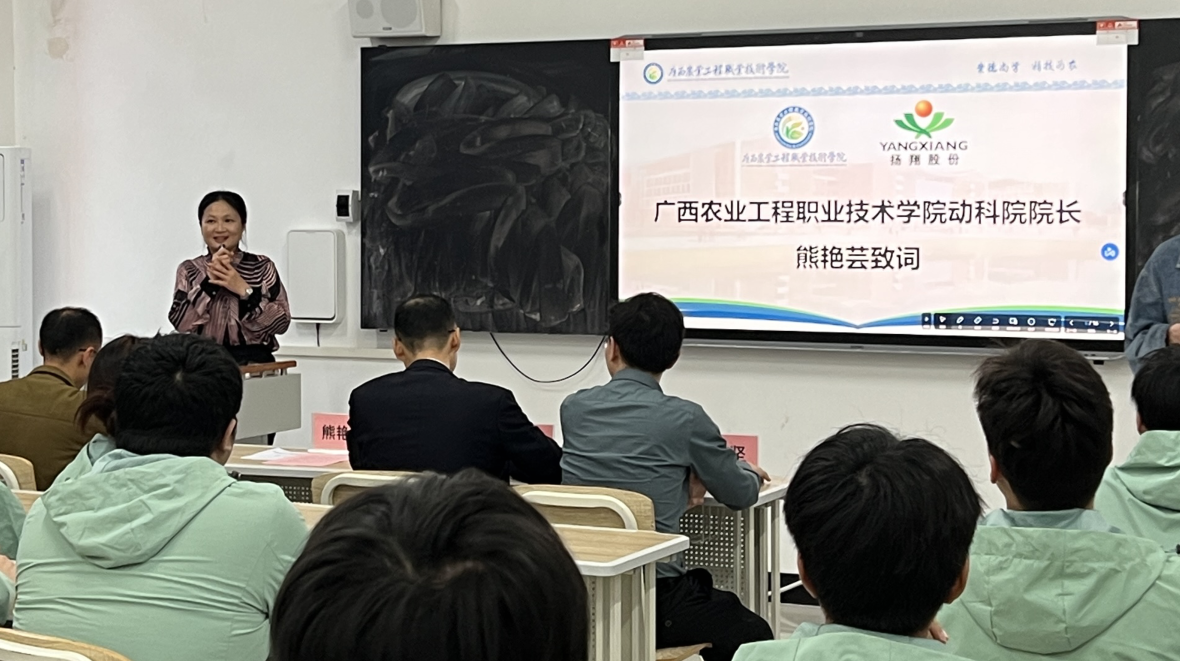 球速体育官方指定端
