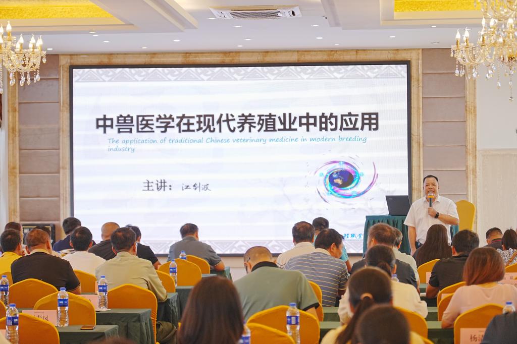 球速体育APP下载