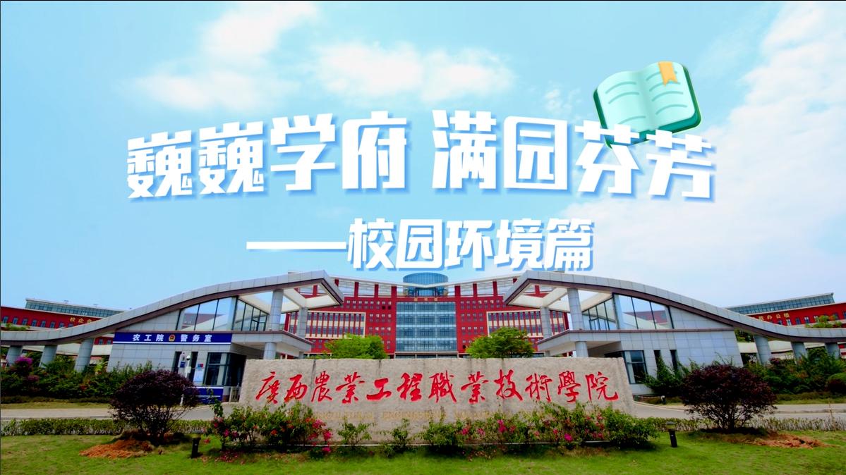 球速体育平台