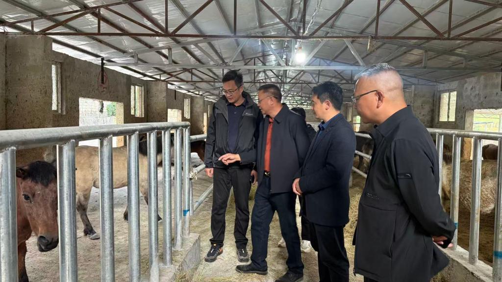 球速体育APP下载