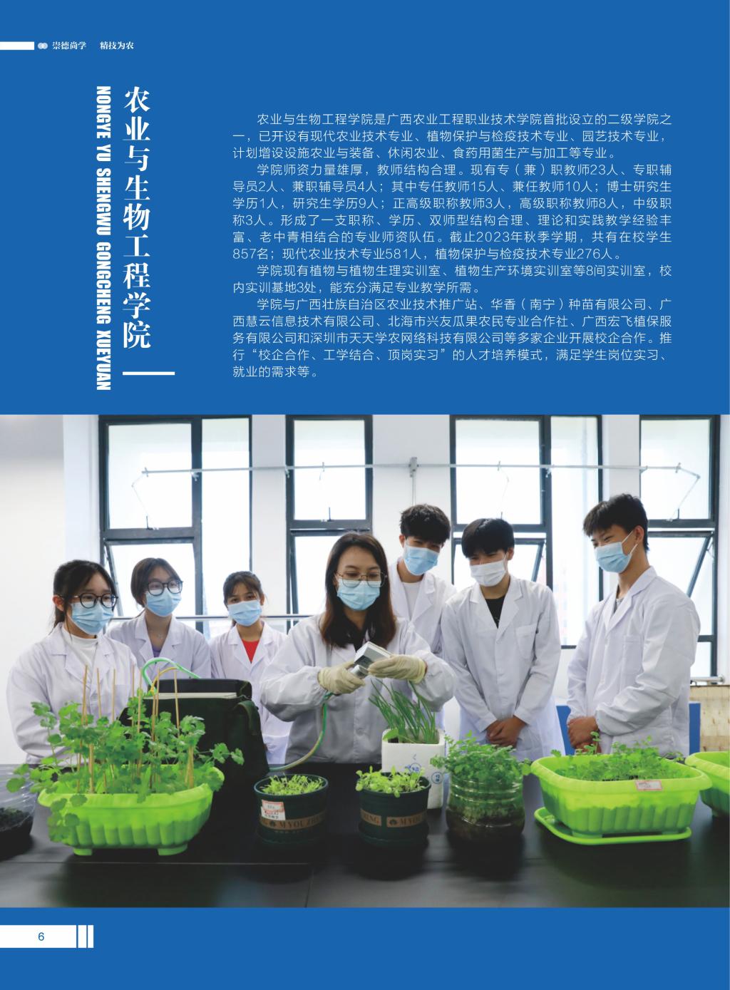 球速体育超级联赛