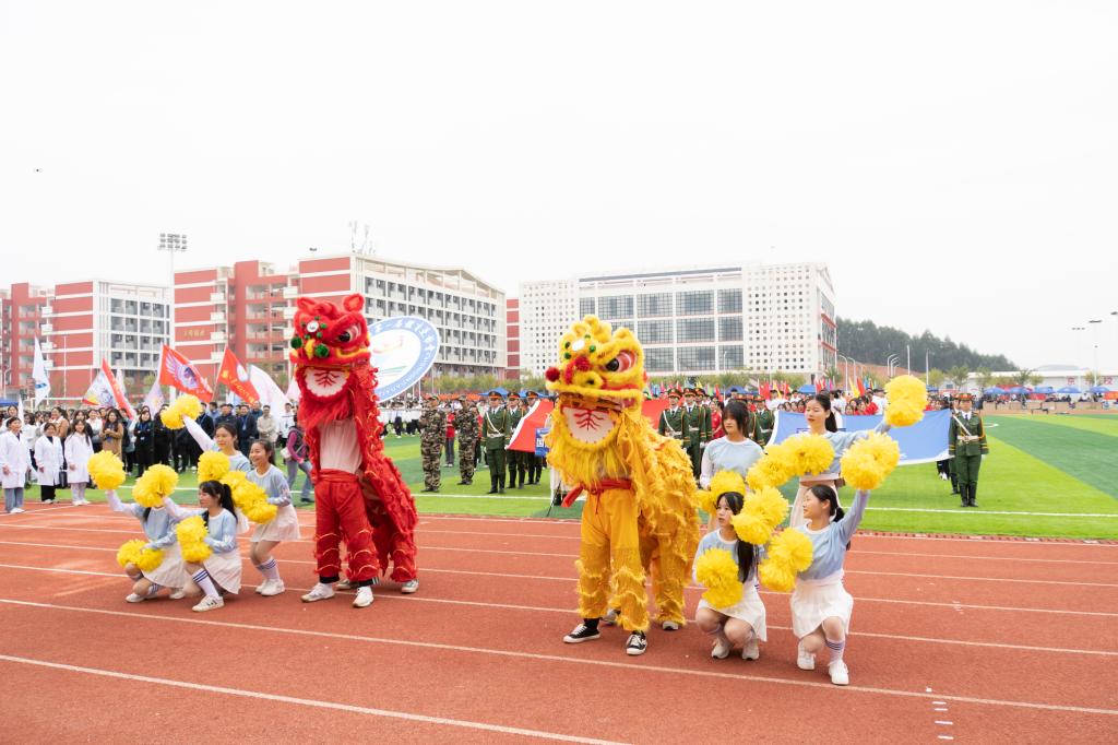 球速体育赛事资讯平台