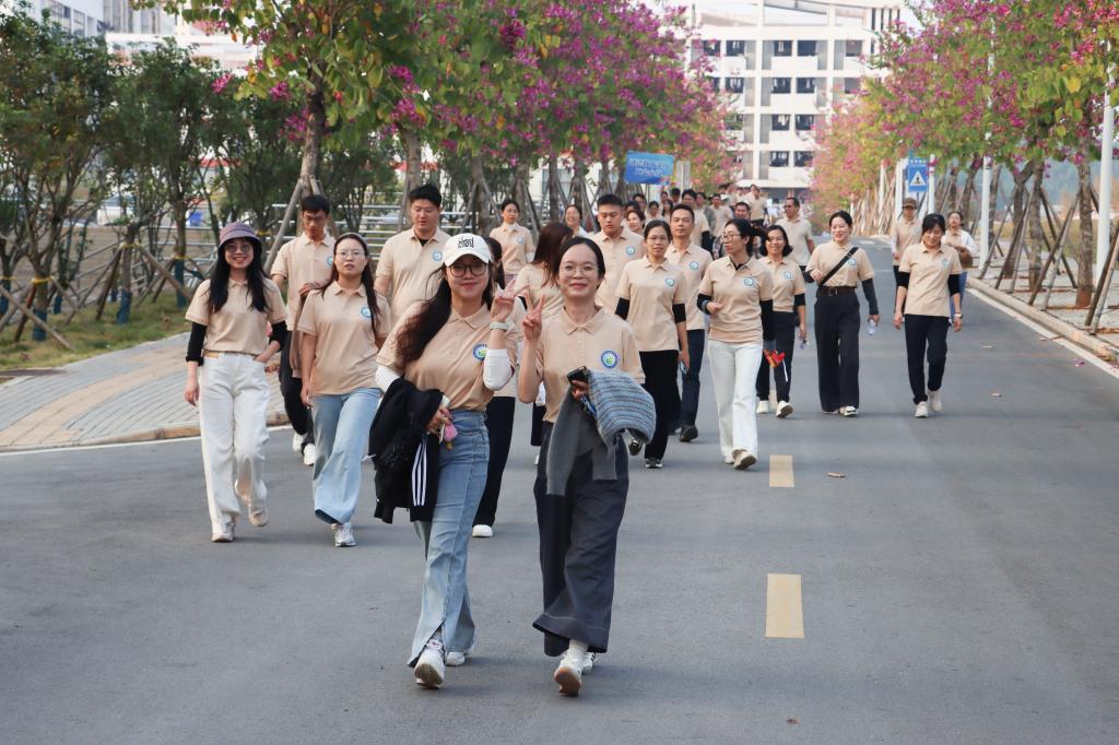 球速体育官方线路