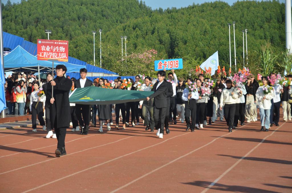 球速体育欧冠直播