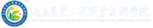 球速体育备用网址图片