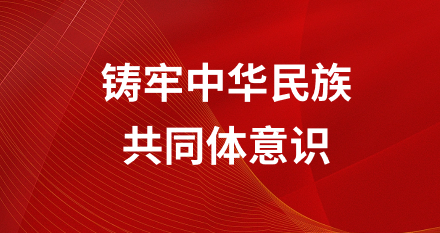 球速体育手机版图片