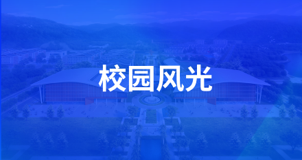 球速体育体育频道图片